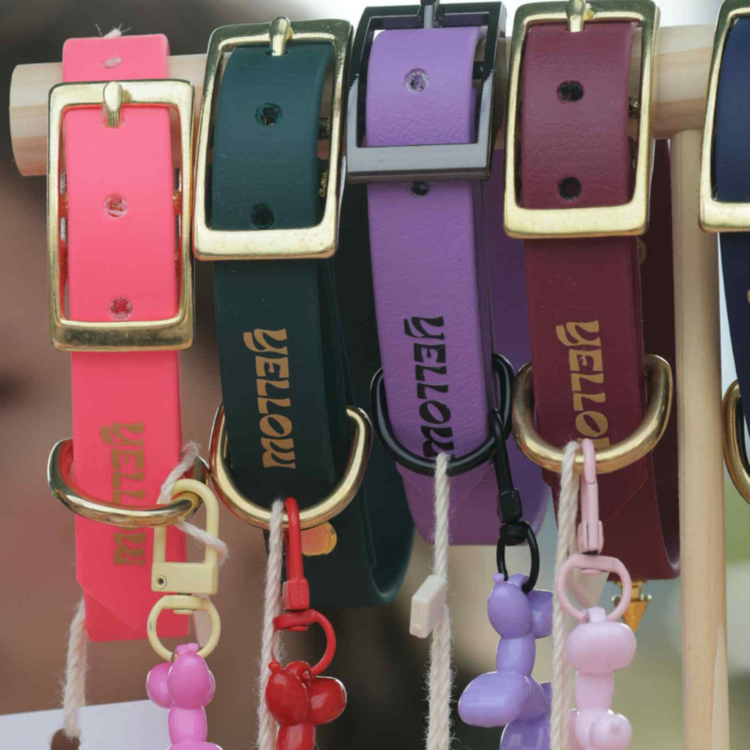 Collier Essential personnalisé en BioThane® fabriqué à la main en France