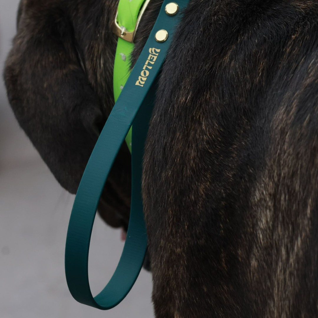 Poignée Loop en BioThane® personnalisable