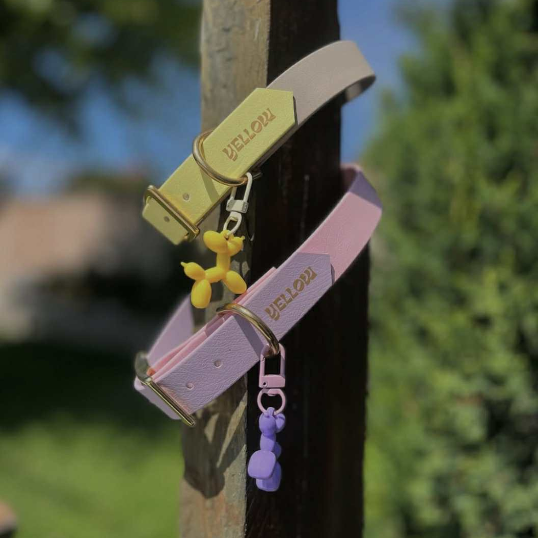 Collier Spark en BioThane® personnalisable
