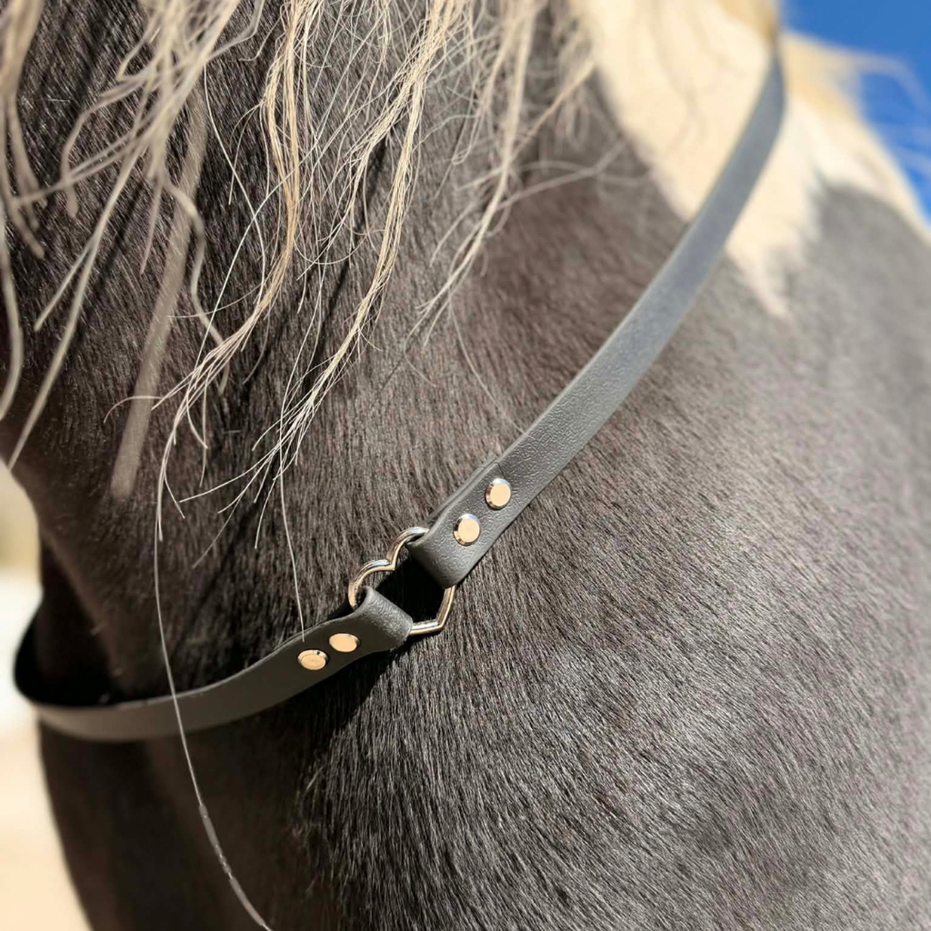 Cordelette Love en BioThane® personnalisable
